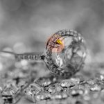 What color prongs / claws should I have ?