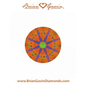Brian Gavin 1.085 D IF Signature Round